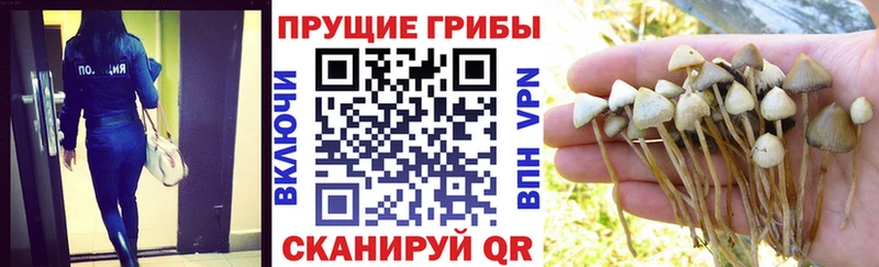 Галлюциногенные грибы Psilocybine cubensis  ссылка на мегу ONION  Апрелевка 